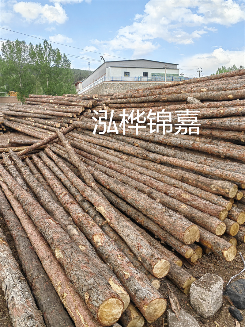 施工用的松木樁圖片，節省時間成本的首選